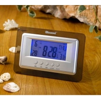 Voice controlled backlight electronic perpetual calendar