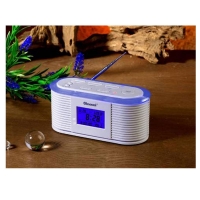 Multifunctional stereo clock controlled radio